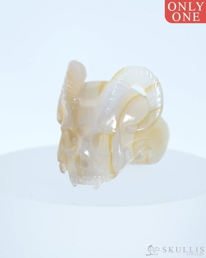 Gem Skull Ring Of Agate Carved Skull In 925 Sterling Silver - 0800025 Us Size (9) Skull Rings