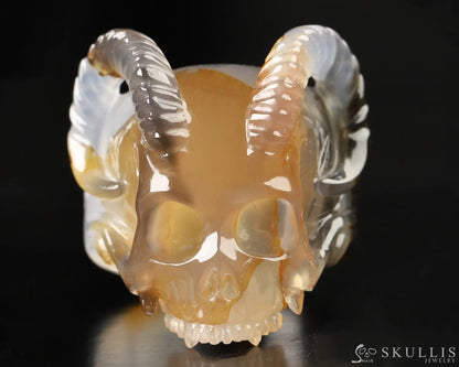 Whole Gem Skull Ring Of Premium Brazilian Agate Carved Skull Totally Us Size 8