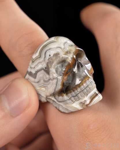 Vein of Life - Gem Skull Ring of Red Crazy Lace Agate Carved Skull US size - 9900416 - Skull Rings